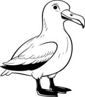 Seagull black and white illustration. Isolated on white background. vector