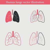 human lungs illustration vector