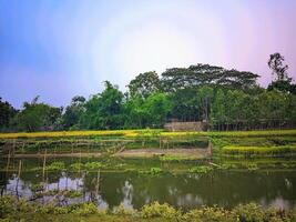 un río con un pequeño estanque y arboles en el antecedentes foto