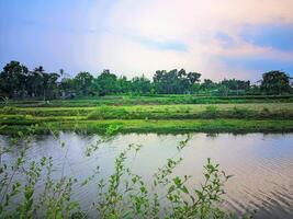 a river with a small pond and trees in the background photo