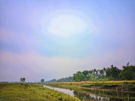 a river with a small pond and trees in the background photo