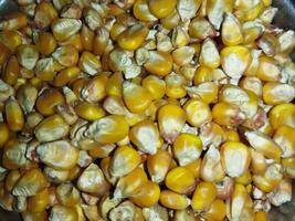 Corn contains a considerable amount of protein. ... Corn contains essential antioxidants like the carotenoids lutein and zeaxanthin for eye benefits. ... To remove anemia... In protecting the heart... photo