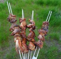 Roasted pieces of meat on skewers over green grass background photo