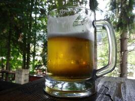 Cooled pint of beer with froth on the glass photo