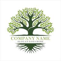 Tree and roots for company or branding logo design isolated on white background vector