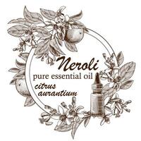 Engraved essential oil with orange fruits, leaves and blooming flowers. Hand drawn of glass dropper bottle with citrus aurantium. Label for cosmetics, medicine, treating, aromatherapy, package design. vector