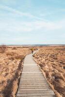 Wild wasteland in the west of Belgium called Les Wez in the High Fens, Wallonia. A vast reservoir of water in vast wetlands. Climate change and storage photo