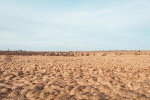 Wild wasteland in the west of Belgium called Les Wez in the High Fens, Wallonia. A vast reservoir of water in vast wetlands. Climate change and storage photo