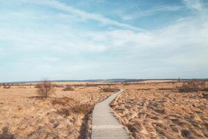 Wild wasteland in the west of Belgium called Les Wez in the High Fens, Wallonia. A vast reservoir of water in vast wetlands. Climate change and storage photo