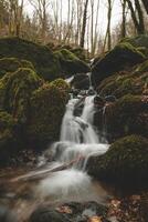 cascadas de primavera y claro agua en el virgen valle Delaware la semois nacional parque en del Sur Bélgica foto