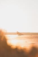 Sinking ship in quicksand at sunrise on the coast of the Netherlands. Last shreds of hope and life. Orange glow and the sinking ship photo