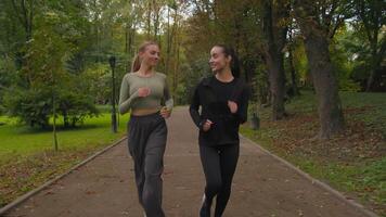 contento mujer activo ajuste deportivo muchachas caucásico señoras trotar corriendo juntos en parque al aire libre dos contento sonriente deportistas hembra corredores corredores sano estilo de vida Mañana empujoncito correr en ciudad fuera de video