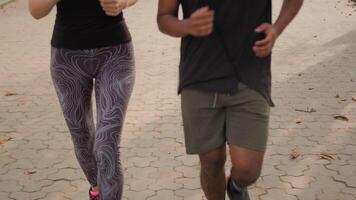 Moving shot two young athletes running together in autumn city park happy laughing Arabian man and Caucasian woman love couple jogging morning activity jog run healthy lifestyle sport training outdoor video