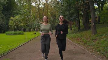 contento joven caucásico aptitud mujer corredores corredores deporte muchachas señoras corriendo en parque al aire libre sonriente deportistas hembra Atletas trotar en ciudad Mañana actividad correr empujoncito rutina de ejercicio sano estilo de vida video