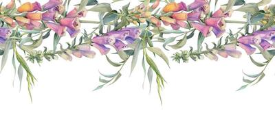 Hand drawn watercolor illustration shabby boho botanical flowers leaves. Willow eucalyptus branch, foxglove snapdragon lupin. Seamless banner isolated on white background. Design wedding, love cards vector