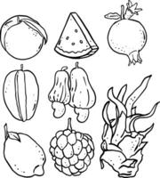 frutas elemento contorno diseño para plantillas. vector