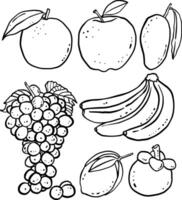 fruits element outline design for templates. vector