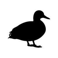 Duck standing silhouette on white background vector