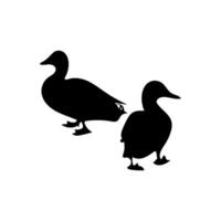 Duck Family, group of duck vector