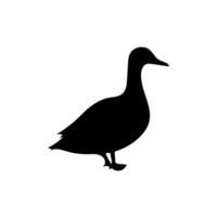 Duck standing silhouette on white background vector