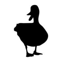 Duck standing silhouette on white background vector