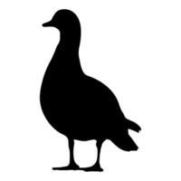 Duck standing silhouette on white background vector