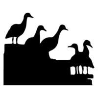 Duck Family, group of duck vector