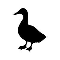 Duck standing silhouette on white background vector