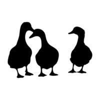 Pato familia, grupo de Pato vector