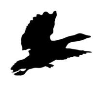 Duck flying silhouette vector