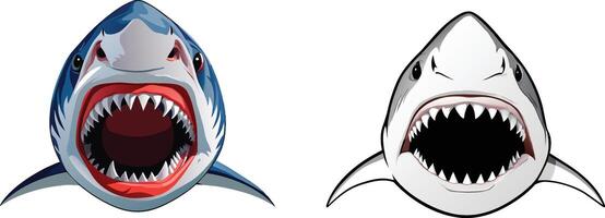 Frontal shark with open mouth colored and colored- vector