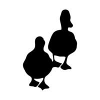 Duck Family, group of duck vector