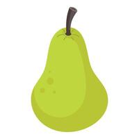 Pear isolated on white background, illustration. vector