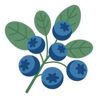 Blueberries isolated on white background, illustration vector