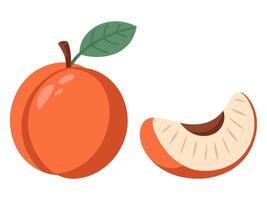 Ripe juicy peach isolated on a white background. Hand drawn illustration. vector