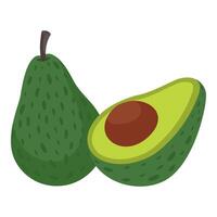 aguacate aislado en blanco fondo, ilustración vector