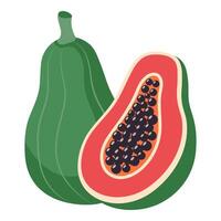 Papaya isolated on white background. Hand drawn illustration. vector