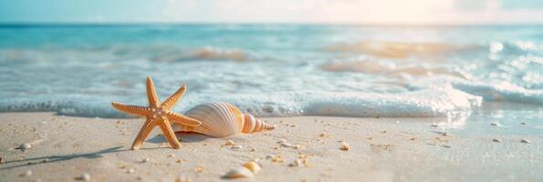 Panorama of A starfish and seashell lay on the sandy beach by the oceans shore photo