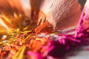 Macro photography of colored pencil shavings photo