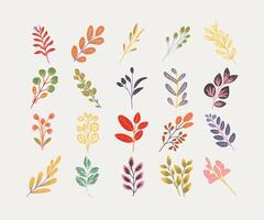 Colorful Hand-Drawn Botanical Elements vector