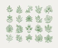 Green Botanical Clipart Collection vector