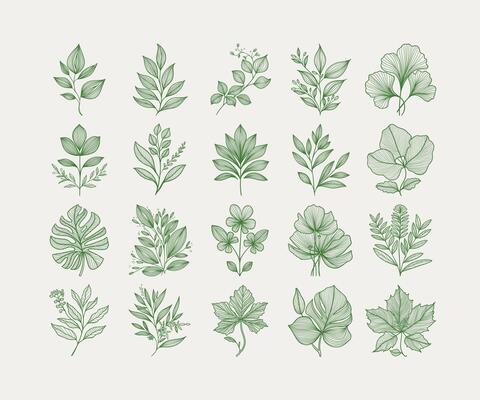 Green Botanical Clipart Collection