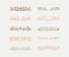 Elegant Floral Divider Collection vector