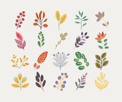 Colorful Hand-Drawn Botanical Elements vector