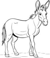 Donkey Coloring Pages Drawing For Kids vector