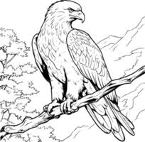 Eagle On A Branch Coloring Page Drawing For Kids vector