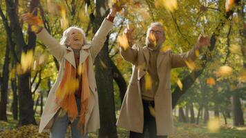 glücklich Familie alt Paar komisch komisch verrückt zwei Großeltern im Ruhestand Frau Mann heiter werfen Blätter im Herbst Wald genießen romantisch Datum elegant alt Mann Ehefrau haben Spaß Spinnen draußen video