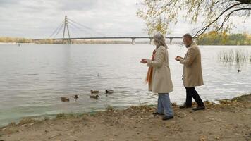 senior paar vrouw Mens in de buurt meer het werpen brood voeden eenden samen midden- oud oud familie romantisch wandelen in herfst park buitenshuis gepensioneerd opa grootmoeder vrouw mannetje voeden vogelstand drijvend in rivier- video