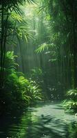 luz de sol fundición oscuridad mediante un bambú bosque foto