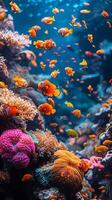 Underwater coral reef with colorful fish photo